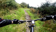 Forest of Ae - Omega man descents