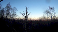 Reeves Ravine in the evenin