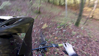 Big jumps in the wood
