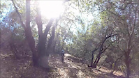 Foresthill Divide Loop Trail gully crash