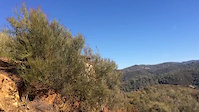 Trail Gap Slomo
