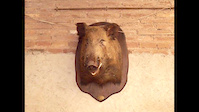 BERRACOS en el PUIG de la BALMA