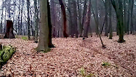 Warmia Trails