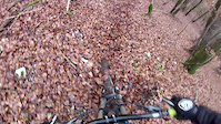 My vision of a freeride track!