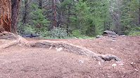Route 9 Jump in rocky mountain
