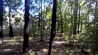 Goldilocks & Muffin Tops - Kalamunda Circuit