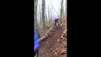 Bunnies in the Mist