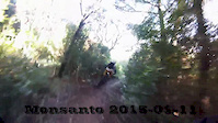 Monsanto - 2015-01-11
