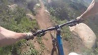 Congo // Sycamore Canyon
