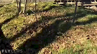 Poco dirt jumps