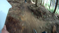 Tiger Mountain