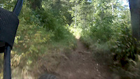 Steel Canyon Moose