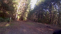 Alsea Falls (Highballer and Springboard)