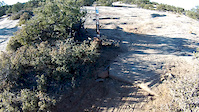 North Rim Gooseberry POV