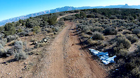 White Trail Gooseberry POV