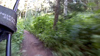 GWT in Millcreek Canyon