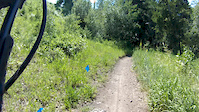 Upper Lift Line Trail POV