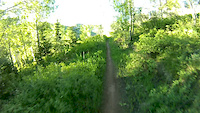 Pipeline POV Deer Crest