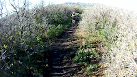 Somewhere Elks POV