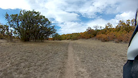 Trail 051 to Dry Creek Descent