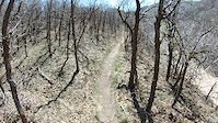 Oak Hollow (Corner Canyon)