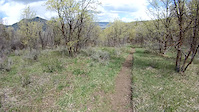 Spring Pond POV