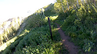 Sams Trail POV