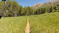 Chris Flat POV