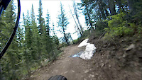 Pinecone POV Park City