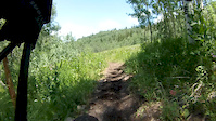 Willow Hollow Trail 159 POV