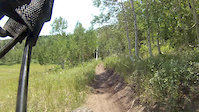 Pine Hollow Upper POV