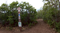 Lower Barrel Dutch Hollow POV