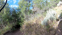Dutch Hollow Luge Trail