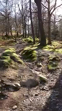 Lake District