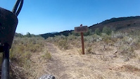 Utah Logan Willow Creek