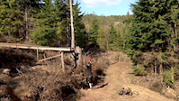 Ladder drop at tavi woodlands