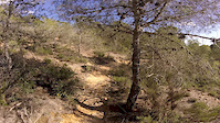Dorian flow trails
