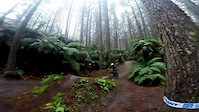 redwoods bottom jump.