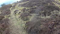 Sheep-drop down to middle