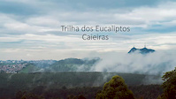 Trilha dos Eucaliptos