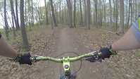 yellow trail DH