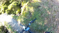 Grizedale north face with paulo