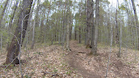 Root hill