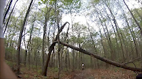 Part of the blue trail