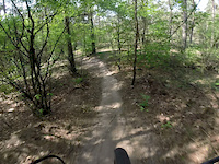 xc holland