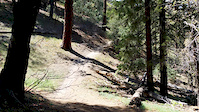 5 years old first descent of Mt. Pinos trail.