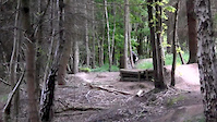 ribbesford bike park