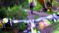 Surrey hills random Trail