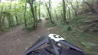 Steely New jumps