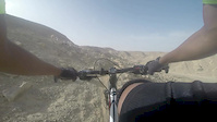Degla paradise (Dog Face)
